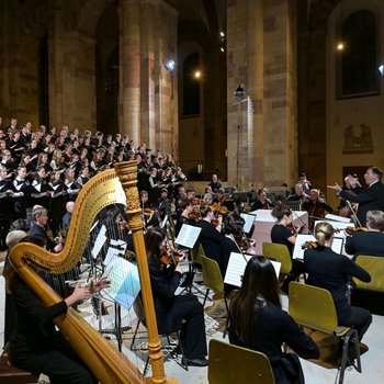 Eröffnungskonzert, Musiker auf der Bühne und Harfe-Spieler im Vordergrund
